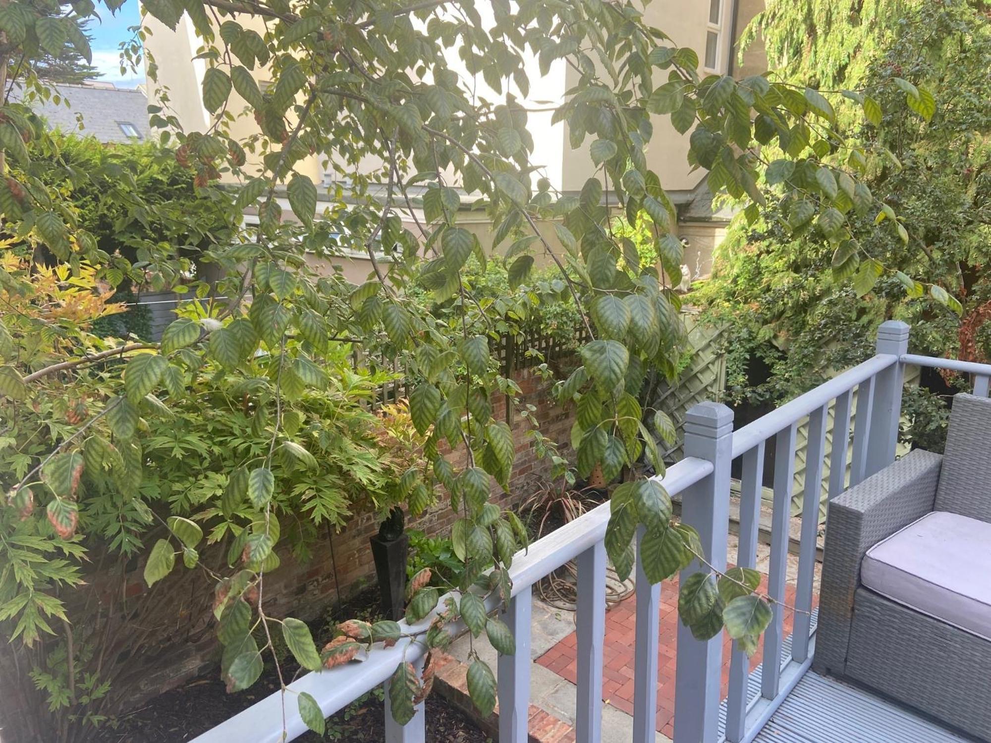 Town Centre Garden Retreat Apartment Cheltenham Exterior photo